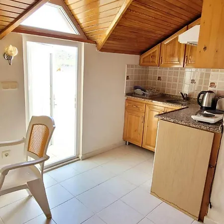 Tayfun 올루데니스